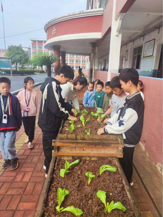 上高县田心中学图片