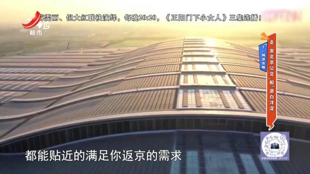 地宝当家20241008
