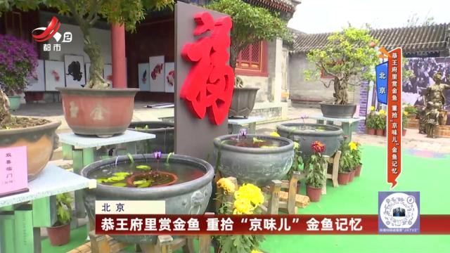 四川成都：串串赛火锅 主打一个“性价比”