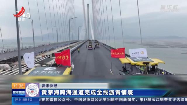 黄茅海跨海通道完成全线沥青铺装