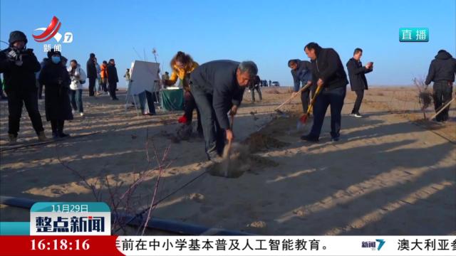 我国最大沙漠实现3046公里生态屏障全面锁边“合龙”
