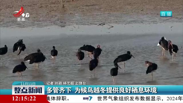多管齐下 为候鸟越冬提供良好栖息环境