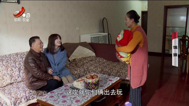 乡村栏目剧场20241119 饿狼