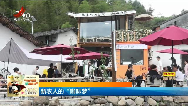 新农人的“咖啡梦”