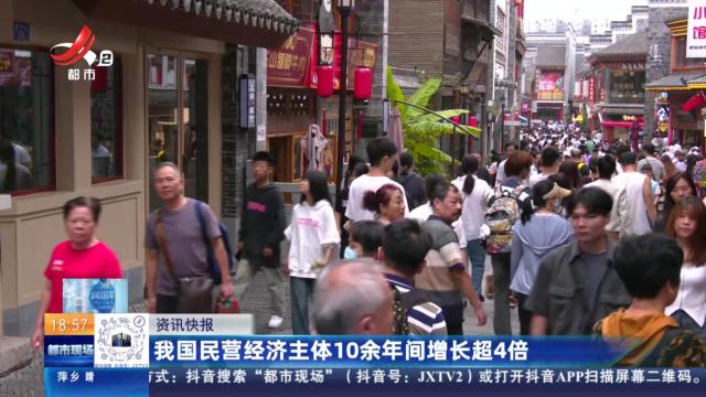 我国民营经济主体10余年间增长超4倍