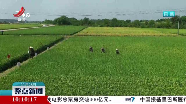 中国绘制全球首个稻属最全超级泛基因组图谱
