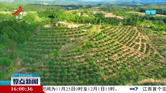 江西：发展农产品精深加工 提高产业链增值收益