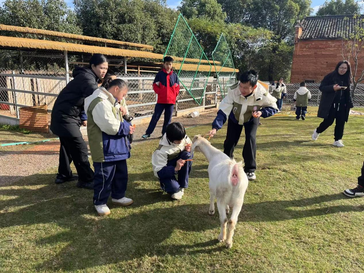 享受自然之趣·拥抱冬天之乐——崇仁县特殊教育学校开展社会实践活动