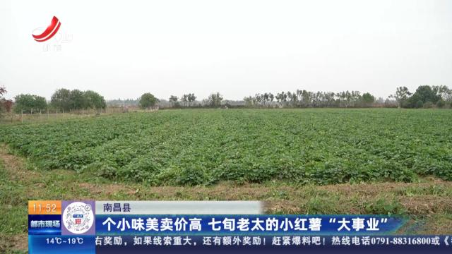 南昌县：个小味美卖价高 七旬老太的小红薯“大事业”