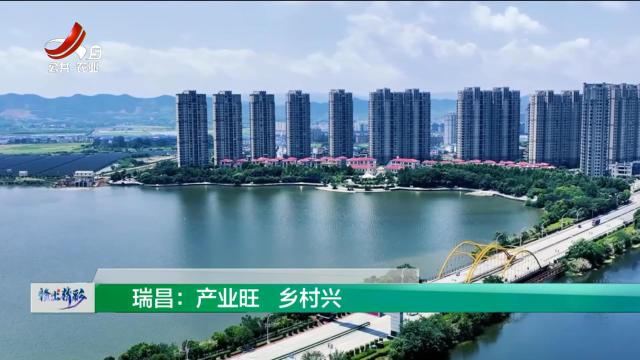 赣出精彩20241129