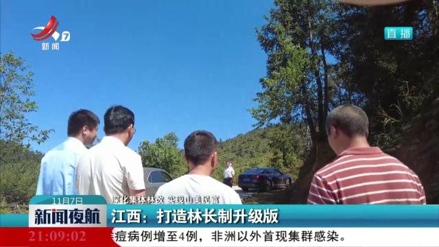 【深化集体林改 实现山美民富】江西：打造林长制升级版