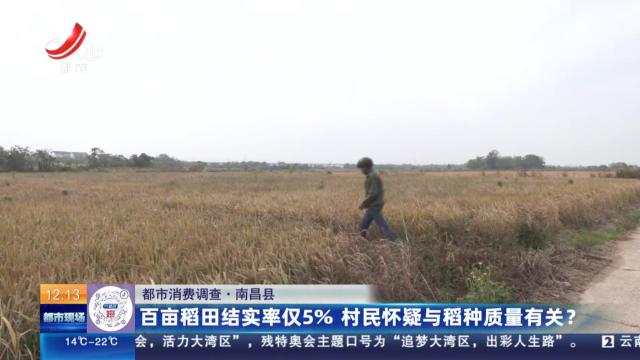 【都市消费调查】南昌县：百亩稻田结实率仅5% 村民怀疑与稻种质量有关？
