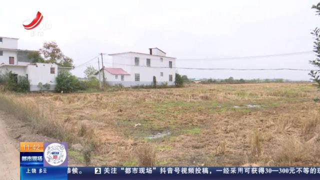 【直播连线·赣问·我为群众办实事·南昌新建】“岩”出必行：道路提升停工一年 路面坑洼村民出行不便