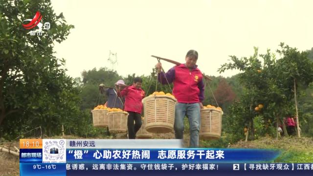 赣州安远：“橙”心助农好热闹 志愿服务干起来