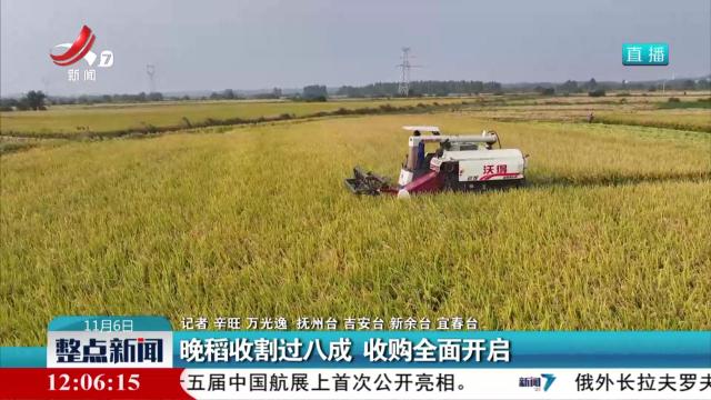 晚稻收割过八成 收购全面开启
