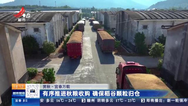 【赏秋】宜春万载：有序推进秋粮收购 确保稻谷颗粒归仓