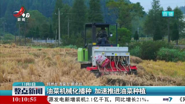 油菜机械化播种 加速推进油菜种植