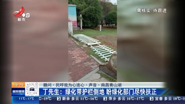 【赣问·民呼我为心连心·声音·南昌青山湖】丁先生：绿化带护栏倒地 盼绿化部门尽快扶正