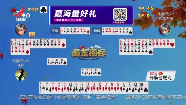 谁是赢家20241116