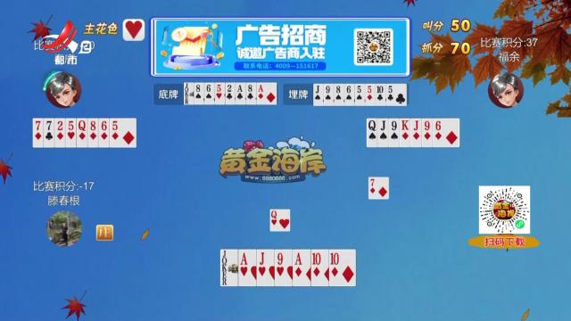 谁是赢家20241111