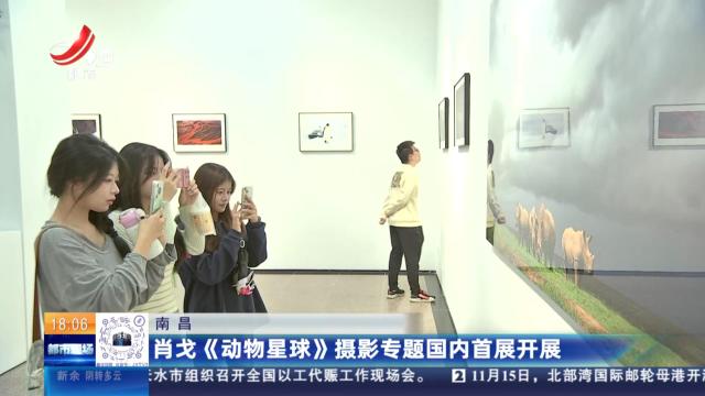 南昌：肖戈《动物星球》摄影专题国内首展开展