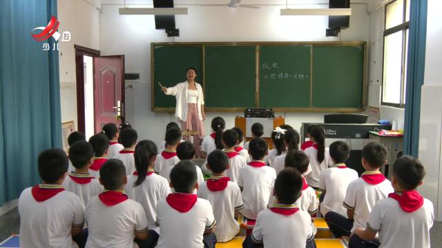 红领巾小记者20241102