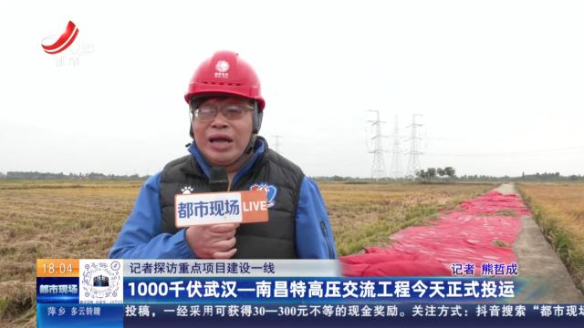 【记者探访重点项目建设一线】1000千伏武汉—南昌特高压交流工程今天正式投运