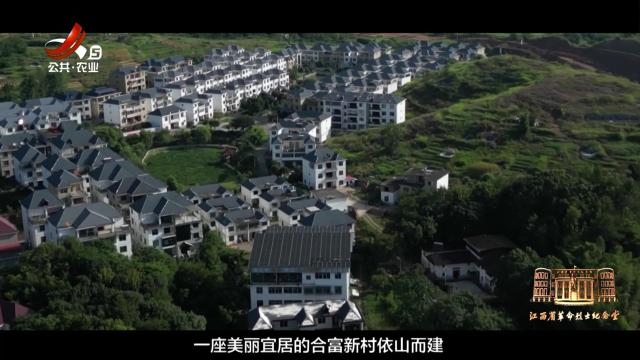 三农头条20241130