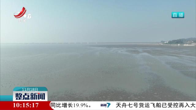 鄱阳湖候鸟迁徙进入高峰期 各地各部门悉心守护