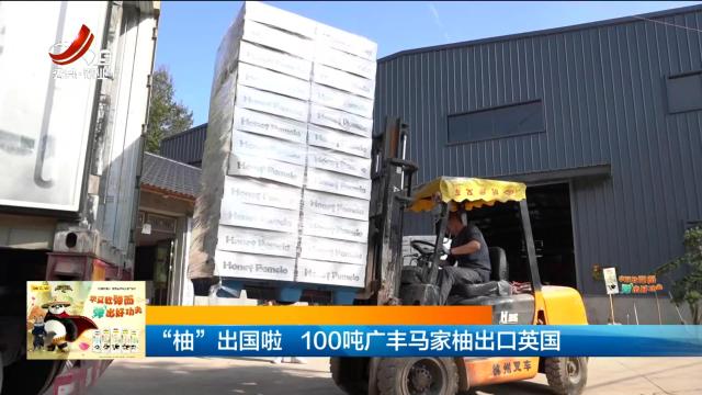 “柚”出国啦 100吨广丰马家柚出口英国