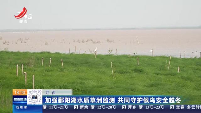 江西：加强鄱阳湖水质草洲监测 共同守护候鸟安全越冬
