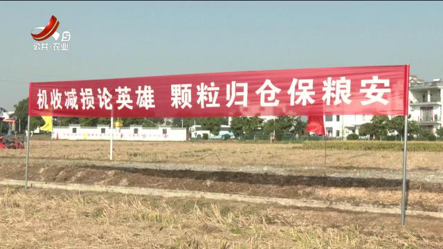 三农头条20241104