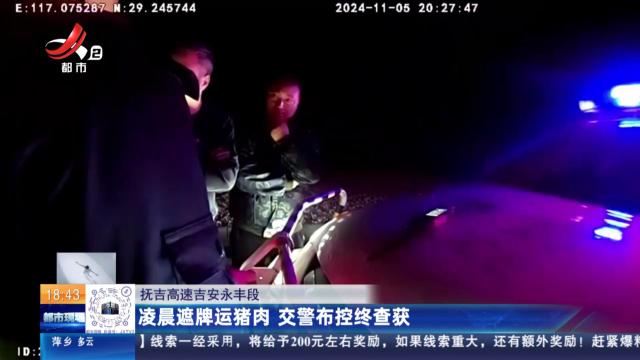 抚吉高速吉安永丰段：凌晨遮牌运猪肉 交警布控终查获