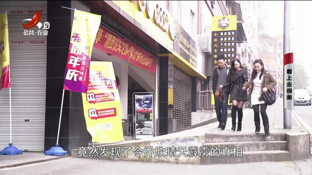 乡村栏目剧场20241115 看上去很美