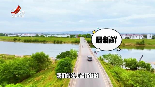 三农头条20241103