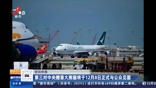 第三对中央赠港大熊猫将于12月8日正式与公众见面