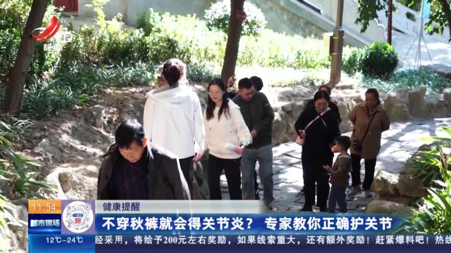 都市现场·午间版20241108