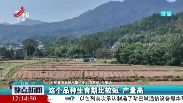 冬种正当时 田间播希望