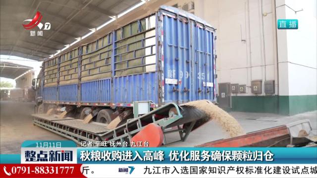 秋粮收购进入高峰 优化服务确保颗粒归仓