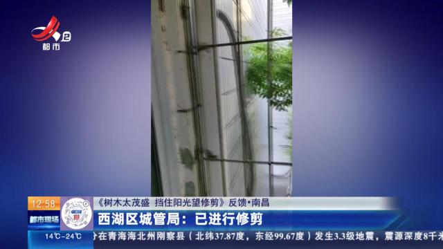 【《树木太茂盛 挡住阳光望修剪》反馈·南昌】西湖区城管局：已进行修剪