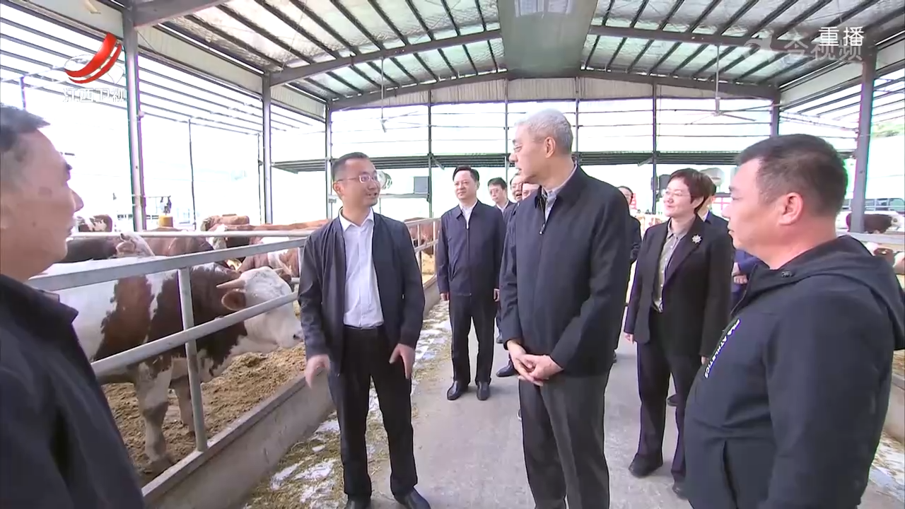 江西新闻联播20241105