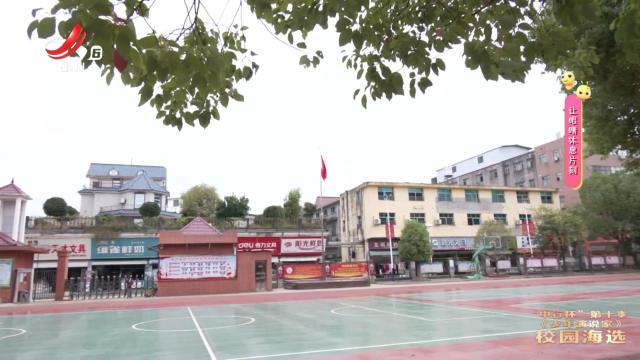 红领巾小记者20241114