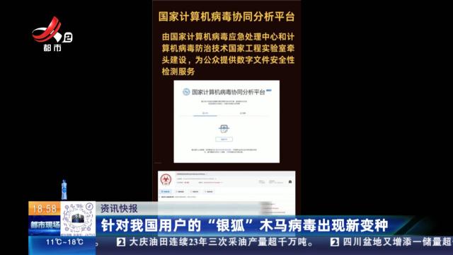 针对我国用户的“银狐”木马病毒出现新变种