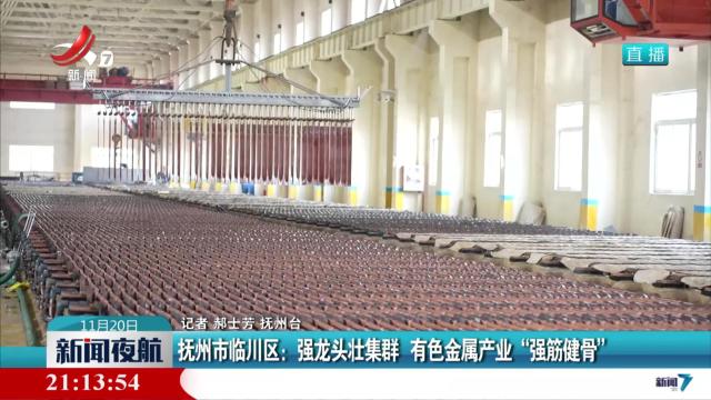 抚州市临川区：强龙头壮集群 有色金属产业“强筋健骨”
