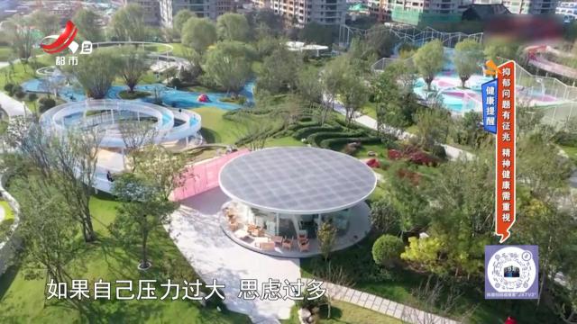 地宝当家20241105