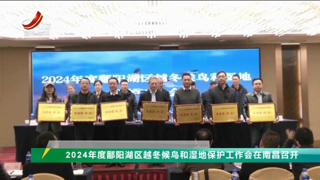 三农头条20241123