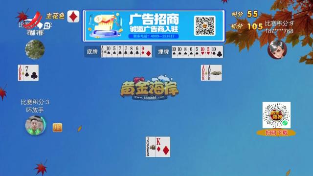 谁是赢家20241110