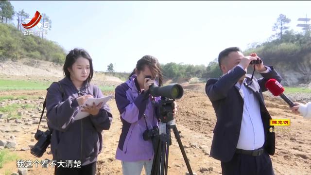 九江湖口：候鸟迁徙高峰将至 充分准备让候鸟“食宿无忧”
