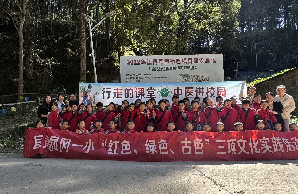 行走的课堂 中医进校园——宜黄县凤冈一小党建引领下的三项文化实践活动
