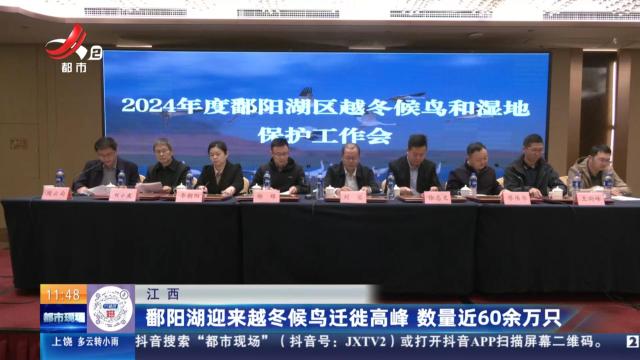 鄱阳湖迎来越冬候鸟迁徙高峰 数量近60余万只